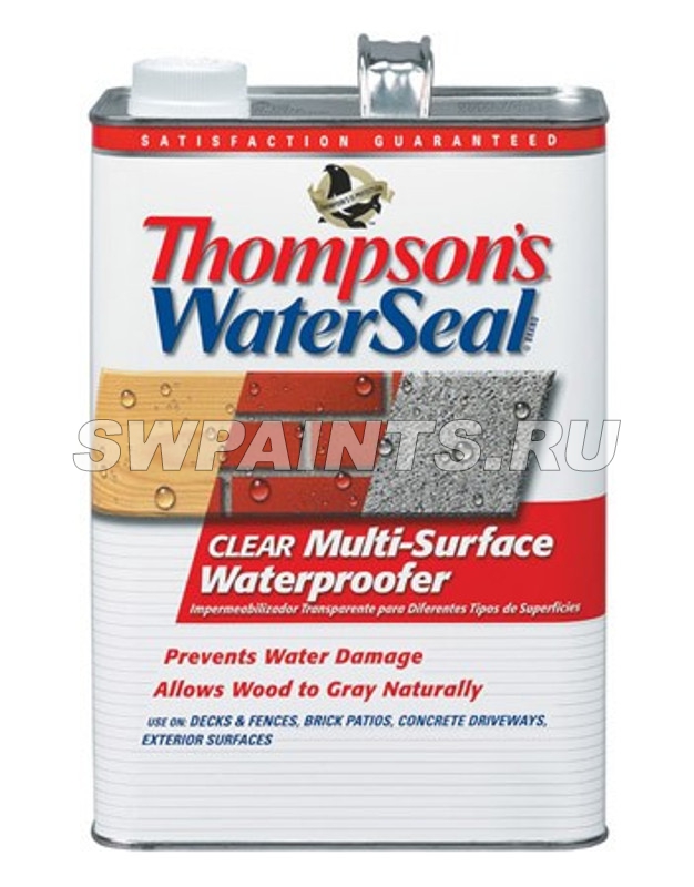 Thompsons WaterSeal Clear Multi-Surface Waterproofer
